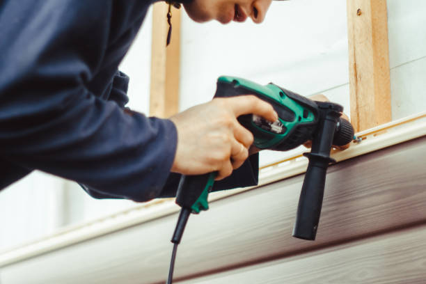 Best Custom Siding Design  in River Falls, WI